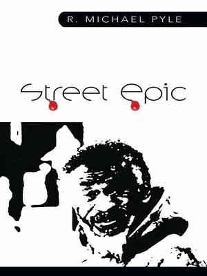 cover image of STREET EPIC